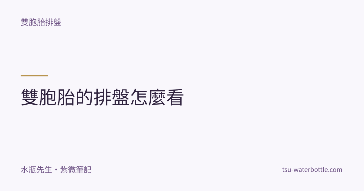雙胞胎的排盤怎麼看・紫微知識文章